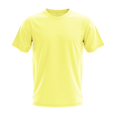 Unisex Regular T-Shirt Maroon